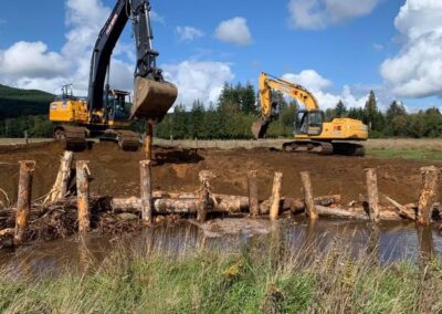 HD bucket with progressive link hydraulic thumb