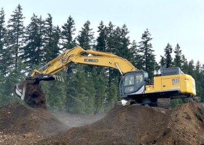 HD bucket with progressive link hydraulic thumb