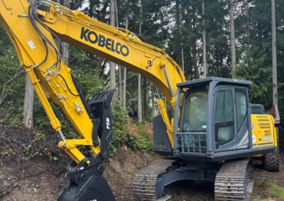 HD bucket with progressive link hydraulic thumb