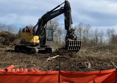 Skeleton rake with thumb application photo