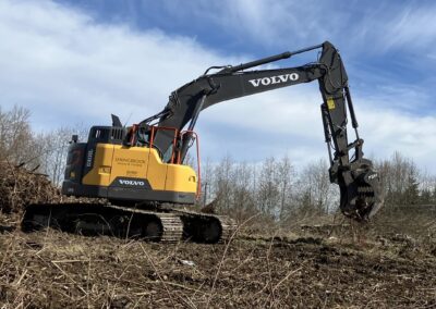 Skeleton rake with thumb application photo