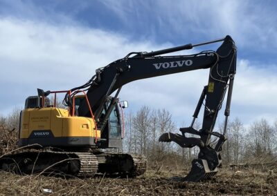 Skeleton rake with thumb application photo