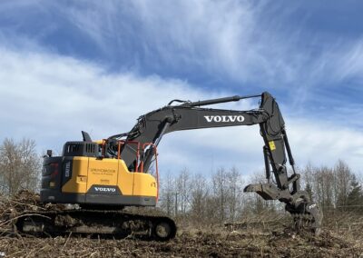 Skeleton rake with thumb application photo