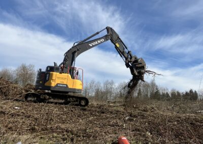 Skeleton rake with thumb application photo