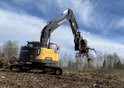 Skeleton rake with thumb application photo