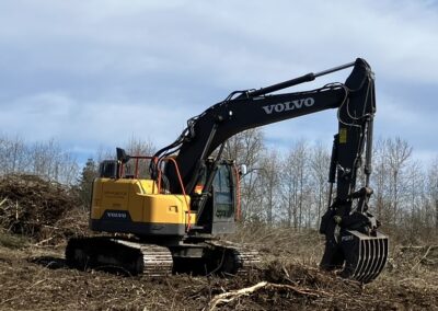 Skeleton rake with thumb application photo